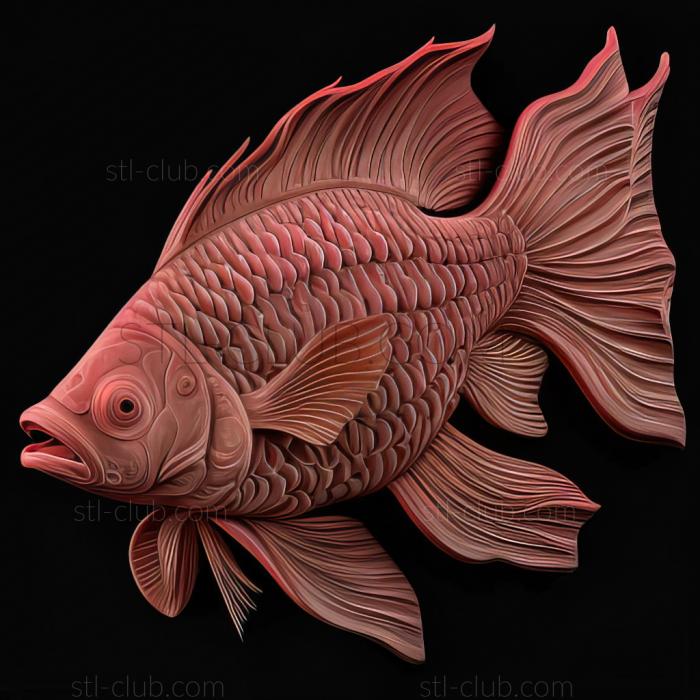 st Pink munchausia fish